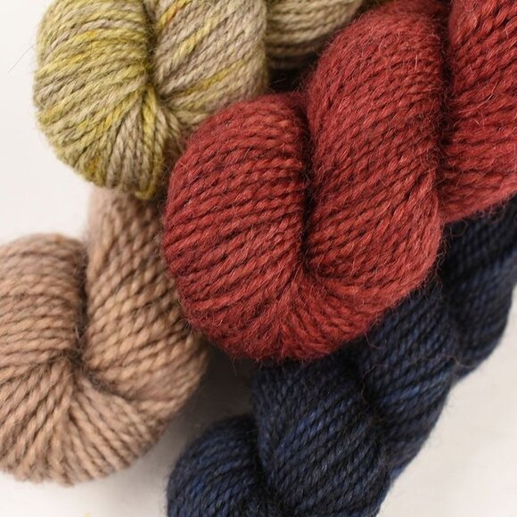 Dyed by DELZ BFL Sock Mini Yak Sock Mini Yarn Set 4 Skeins Multicolor - Picture 2 of 3